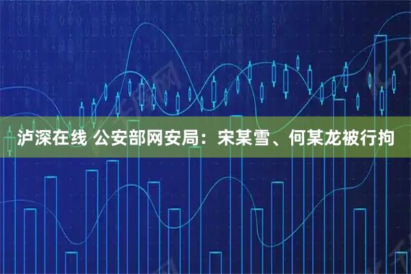 泸深在线 公安部网安局：宋某雪、何某龙被行拘