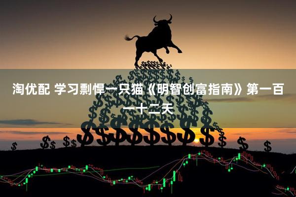 淘优配 学习剽悍一只猫《明智创富指南》第一百一十二天