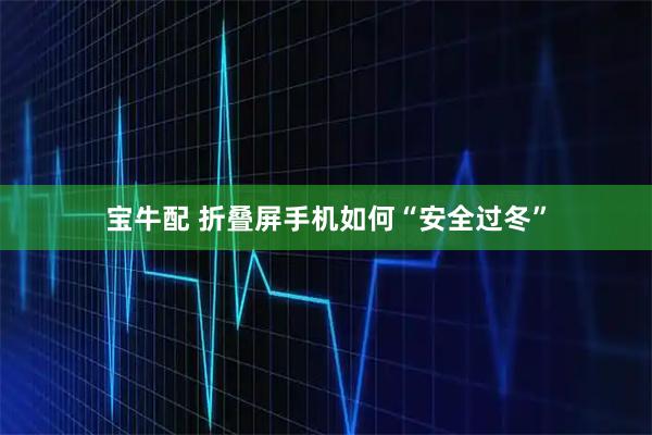 宝牛配 折叠屏手机如何“安全过冬”