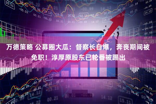 万德策略 公募圈大瓜：督察长自爆，奔丧期间被免职！淳厚原股东已轮番被踢出